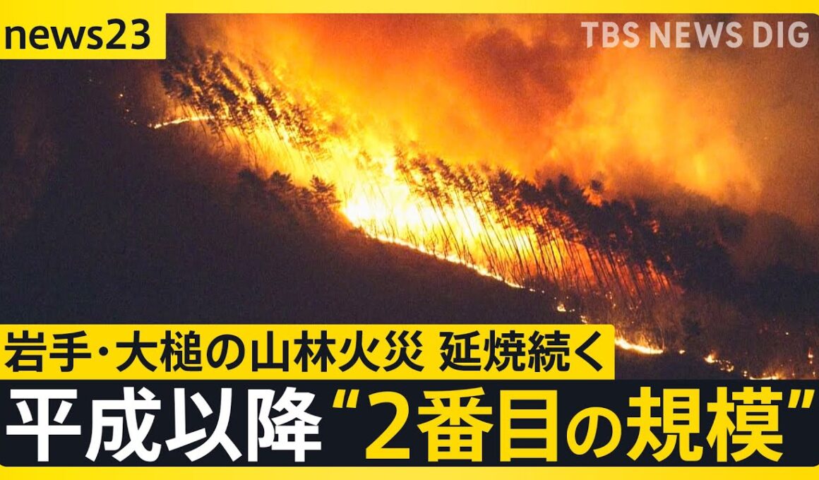 「全然寝られない」岩手・大槌の山林火災　延焼続き平成以降“２番目の規模”に　牛舎が燃えた畜産家は牛残せぬ苦悩も【news23】｜TBS NEWS DIG