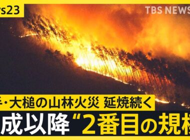 「全然寝られない」岩手・大槌の山林火災　延焼続き平成以降“２番目の規模”に　牛舎が燃えた畜産家は牛残せぬ苦悩も【news23】｜TBS NEWS DIG