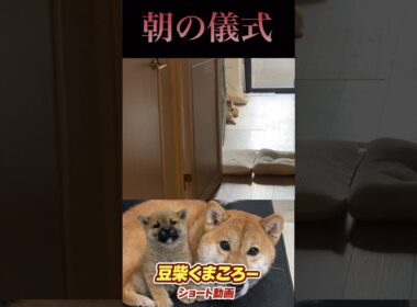 朝のおやくそく