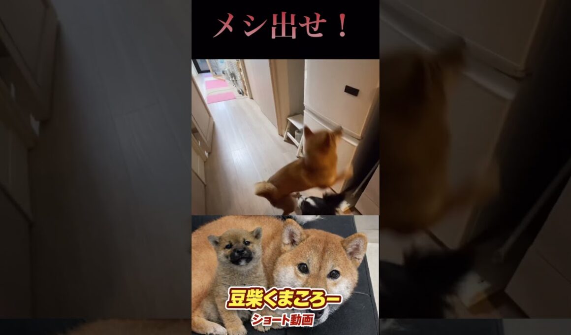 腹減った〜！