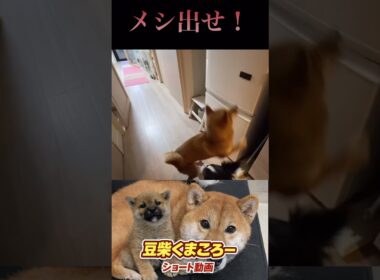 腹減った〜！
