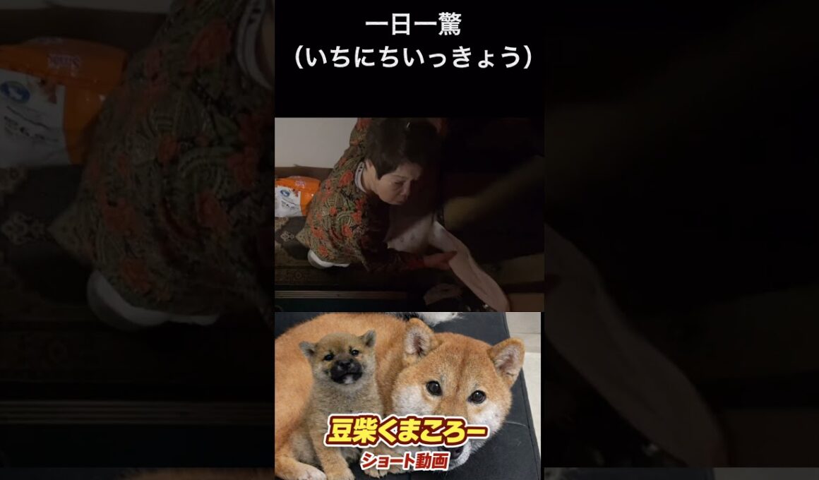 一日一驚｜朝4時にレイスだしたらブチギレられた