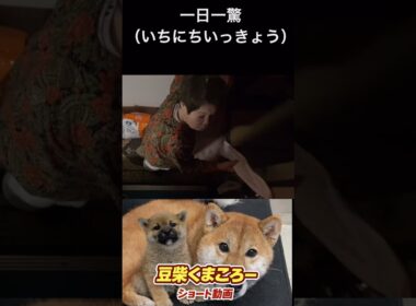 一日一驚｜朝4時にレイスだしたらブチギレられた