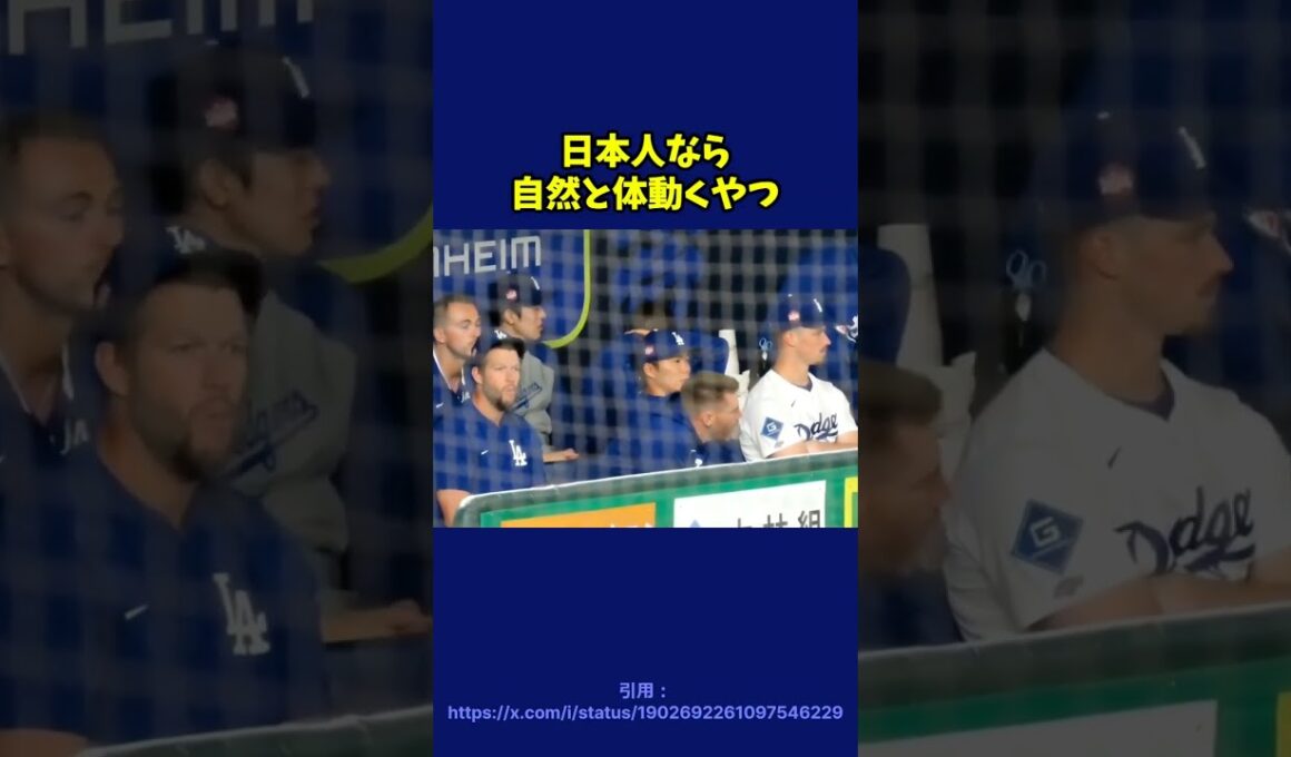 幸せなら#shorts #大谷翔平 #山本由伸 #佐々木朗希 #ドジャース #野球 ＃#mlb #プロ野球