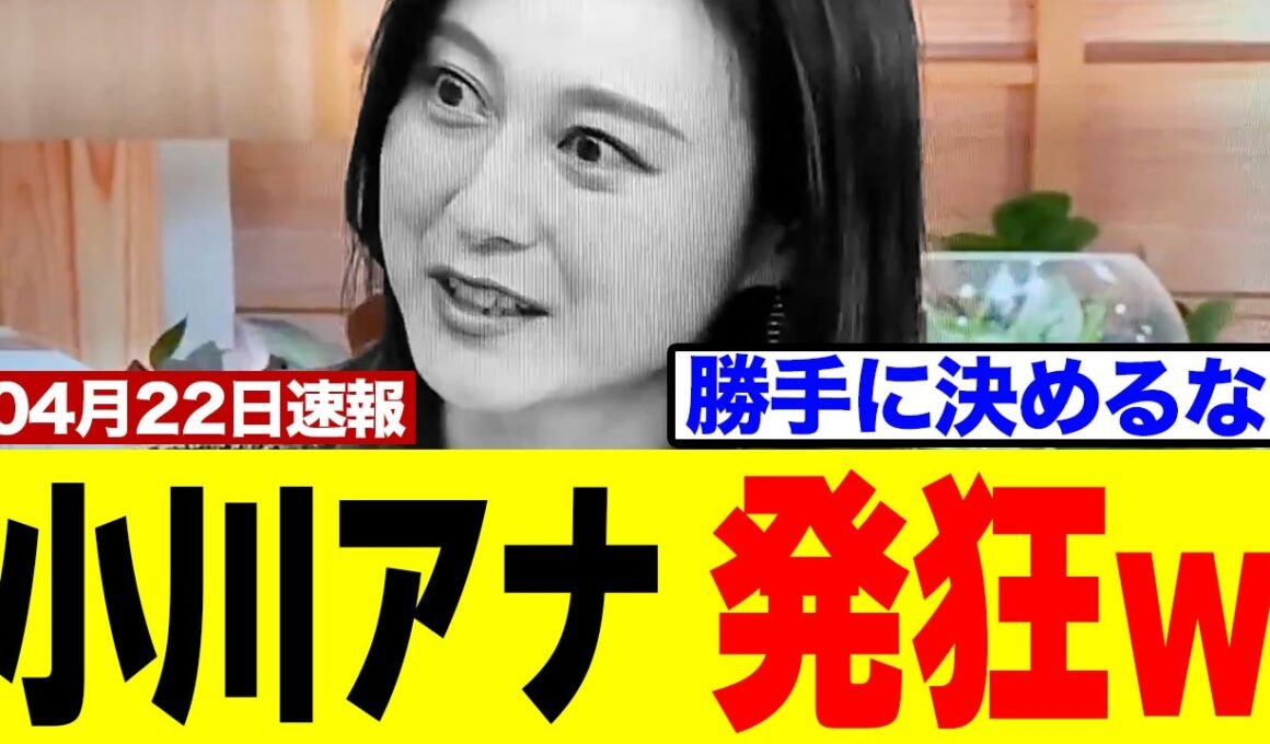 【衝撃】TBS小川さん、番組内で絶叫⇒高市総理の隙のない説明に完全撃沈ｗｗｗ
