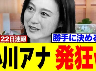 【衝撃】TBS小川さん、番組内で絶叫⇒高市総理の隙のない説明に完全撃沈ｗｗｗ