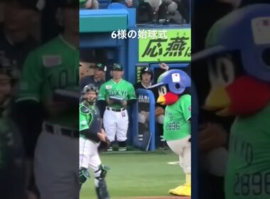 つば九郎、宮本慎也さんに一礼 #つば九郎 #東京ヤクルトスワローズ #shorts
