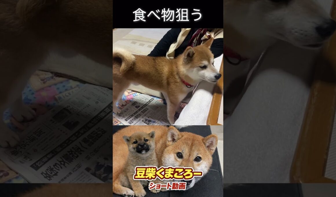 お座りしましたから