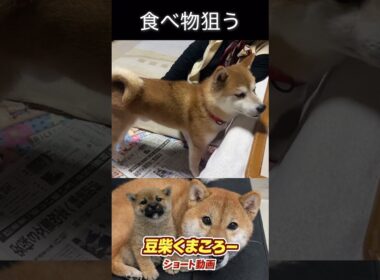 お座りしましたから