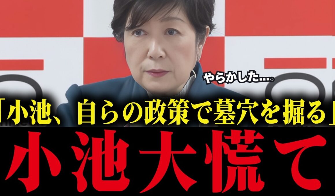 【小池百合子】自らの政策で減税できることを証明してしまう...小池大慌て【小池都知事/さとうさおり/都議会/学歴詐称疑惑/カイロ大学】