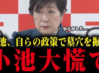 【小池百合子】自らの政策で減税できることを証明してしまう...小池大慌て【小池都知事/さとうさおり/都議会/学歴詐称疑惑/カイロ大学】