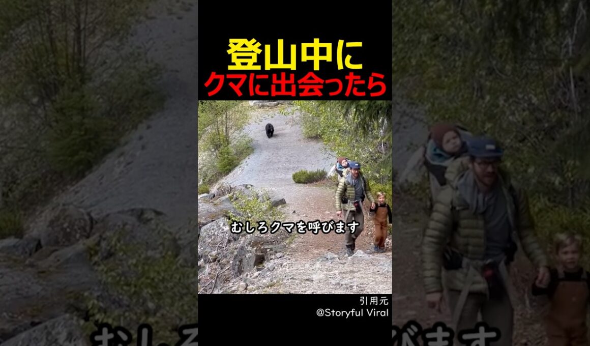 登山中にクマに出会ったら