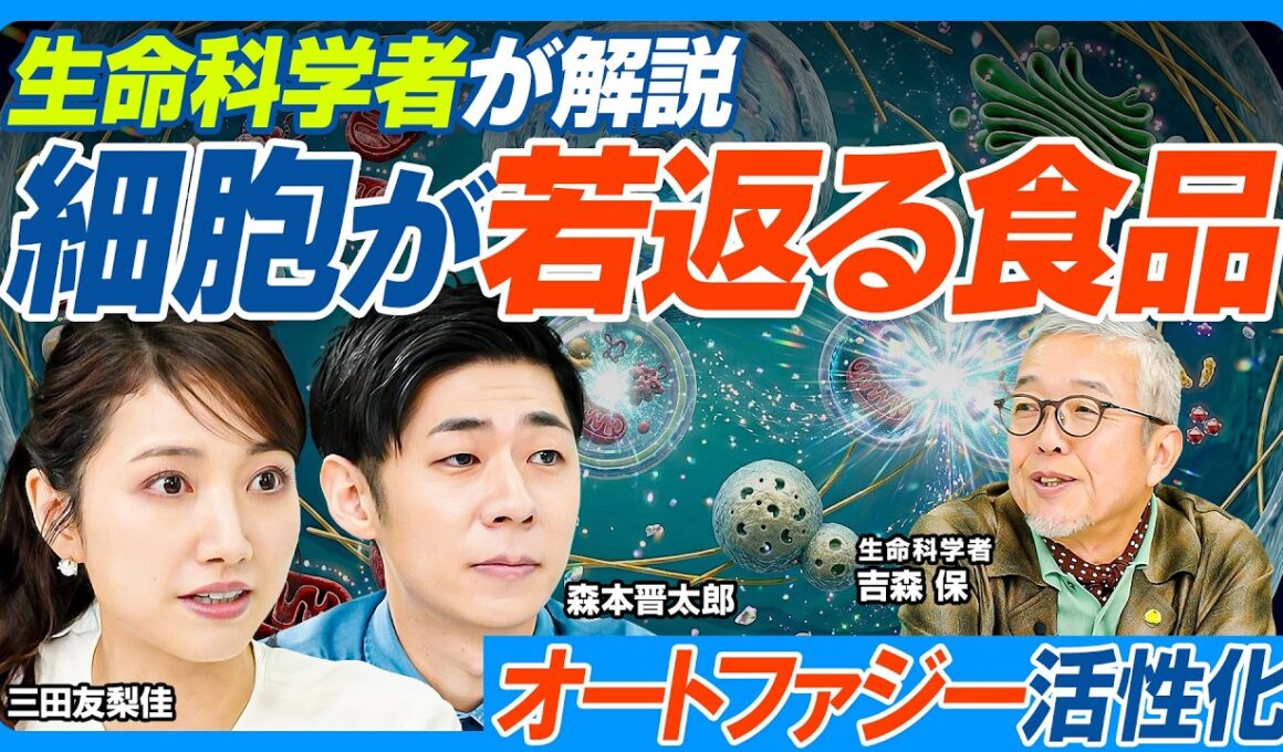 細胞が若返る食品成分／このお茶でオートファジー活性化／生活習慣で促進／皮膚も若返る？／抗老化成分「NMN」／オートファジーを低下させる要因／アンチではなく「ビヨンドエイジング」を目指す【健康新常識】