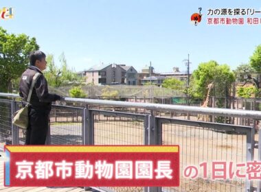 【京都市動物園園長に密着！】リーダーめし／京都経済テラス　キュンと！