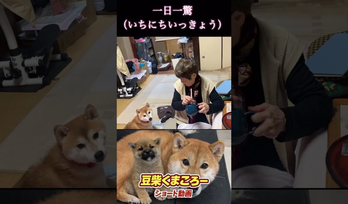 私　学習しましたから