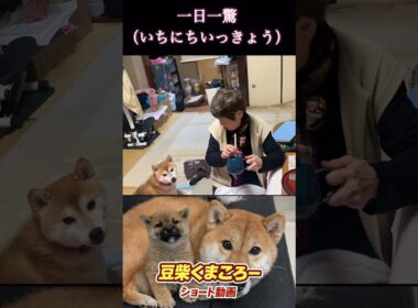 私　学習しましたから