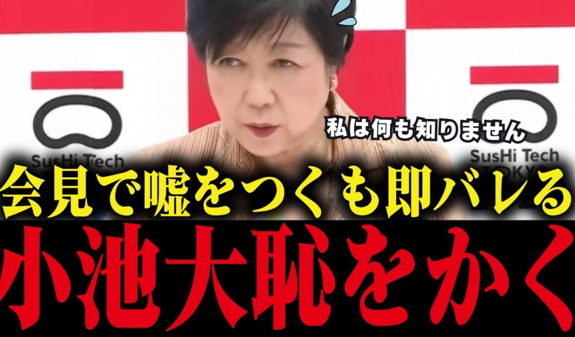 【小池百合子】会見で学歴詐称隠蔽を指摘され嘘をつくも、証拠が出てきて大恥をかく【小池都知事/都議会/カイロ大学/学歴詐称疑惑】