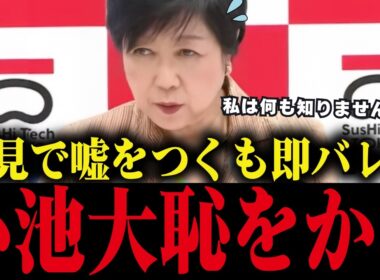 【小池百合子】会見で学歴詐称隠蔽を指摘され嘘をつくも、証拠が出てきて大恥をかく【小池都知事/都議会/カイロ大学/学歴詐称疑惑】