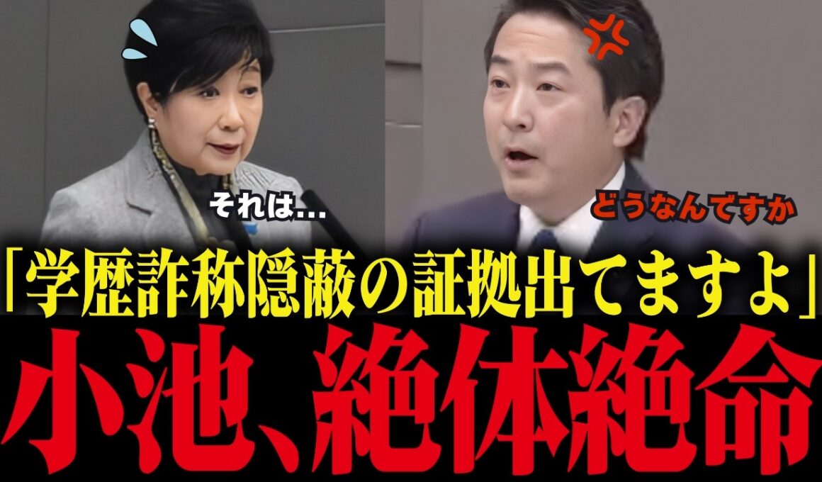 【小池百合子】学歴詐称隠蔽の証拠について小池が議会で追い込まれる！そして小池がついに答弁！【小池都知事/都議会/カイロ大学/学歴詐称疑惑】