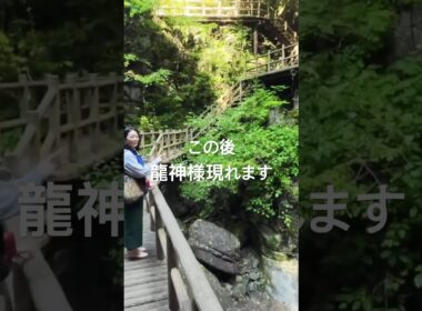 龍神様が現れます　#龍神 #龍神の滝 #かおりの虹 #霊視　#スピリチュアル #japan