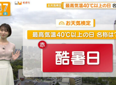 【画像】今日の今井春花さん　4.18