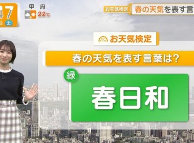 【画像】今日の今井春花さん　4.25