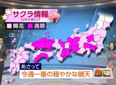 【画像】今日の近藤奈央さん　4.1