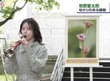 【画像】今日の晴山紋音さん 4.24