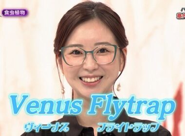 【画像】今日の川口由梨香さん　4.4