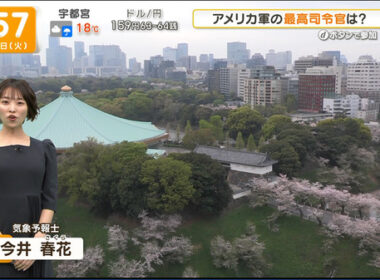 【画像】今日の今井春花さん　4.7