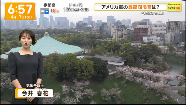【画像】今日の今井春花さん　4.7