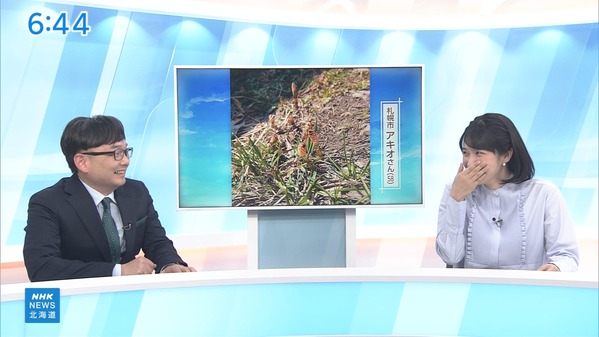 【画像】今日の松本真季さん　4.9