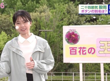 【画像】今日の晴山紋音さん 4.20