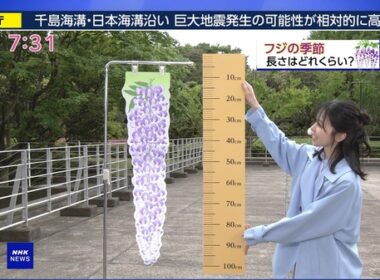 【画像】今日の晴山紋音さん 4.23