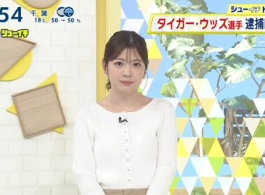 【画像】今日の佐藤真知子さん　4.4