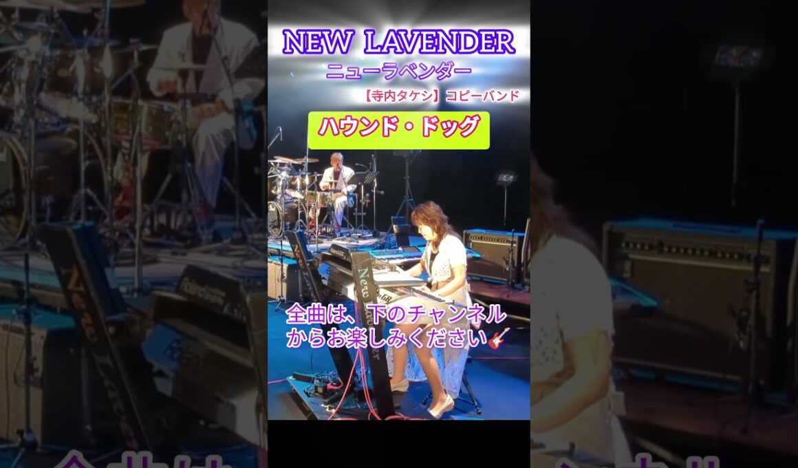 【NEW　LAVENDER】2025.7.13  山形市民会館～山形平和コンサート～♯ハウンド·ドッグ♯寺内タケシ♯Shorts♯大沼広美