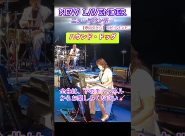 【NEW　LAVENDER】2025.7.13  山形市民会館～山形平和コンサート～♯ハウンド·ドッグ♯寺内タケシ♯Shorts♯大沼広美