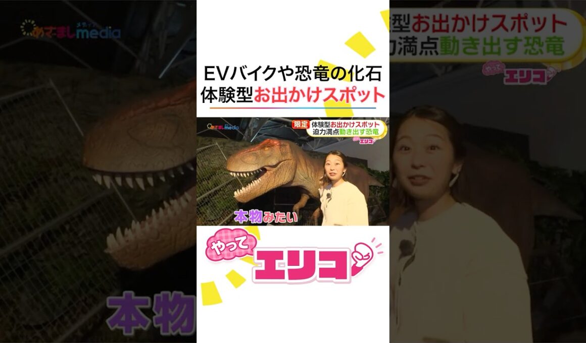 GWにぴったり！ #小室瑛莉子 アナが体験型お出かけスポットを満喫！EVバイクでオフロードツーリング・恐竜に大接近できる迷宮の森・「大阪・関西万博」で話題“echorb”で謎解き #めざましテレビ