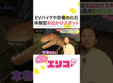 GWにぴったり！ #小室瑛莉子 アナが体験型お出かけスポットを満喫！EVバイクでオフロードツーリング・恐竜に大接近できる迷宮の森・「大阪・関西万博」で話題“echorb”で謎解き #めざましテレビ