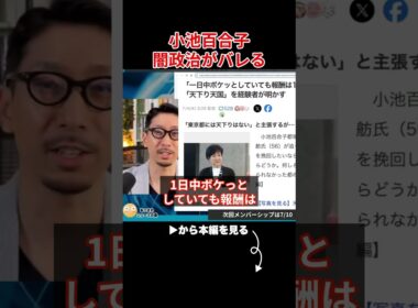 【小池百合子】ヤバい不正が次々暴露され、小池の闇政治の全貌が明らかに...【小池都知事/都議会/カイロ大学/学歴詐称疑惑】