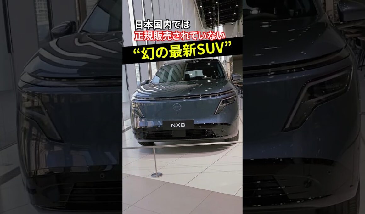 【国内では正規販売なし】新型NX8 Premium Edition #日産 #くるまのニュースtv