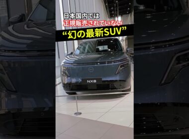 【国内では正規販売なし】新型NX8 Premium Edition #日産 #くるまのニュースtv