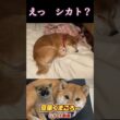 マジ?完全シカトですか？