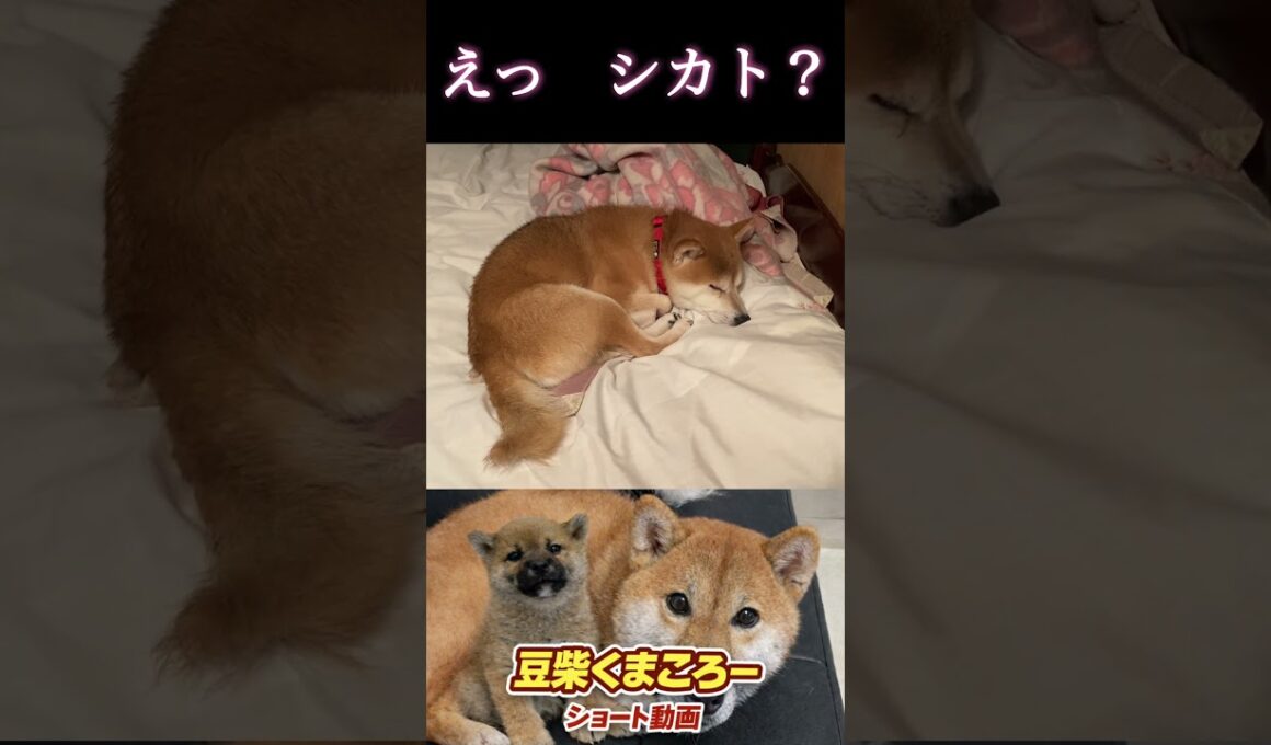 マジ?完全シカトですか？
