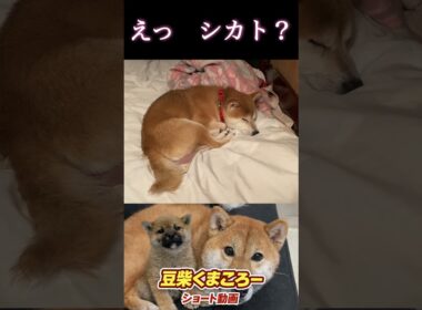 マジ?完全シカトですか？