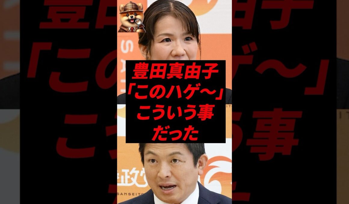 ㊗️220万再生！豊田真由子、「このハゲ〜」こういう事だった