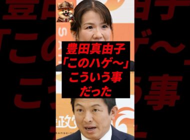 ㊗️220万再生！豊田真由子、「このハゲ〜」こういう事だった