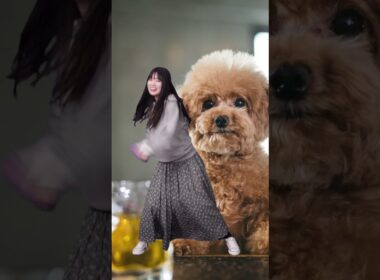 ドラマ「筋肉企画」テーマ楽曲”マッチョ出張”オリジナルダンス！#筋肉企画 #マッチョ出張 #マッチョ #筋肉 #ダイエット #マッチョダンス #ドラマ #おすすめ#ショートドラマ