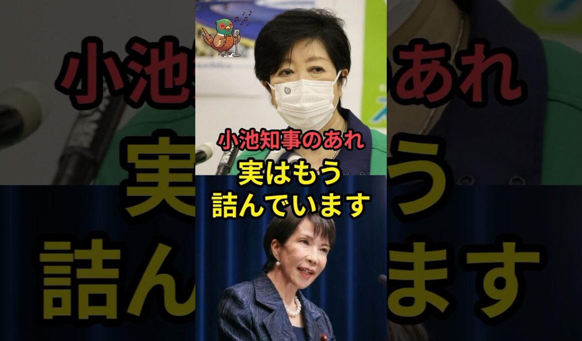 小池知事のあれ、実はもう詰んでいます！！ #小池百合子 #高市早苗 #メガソーラー規制法