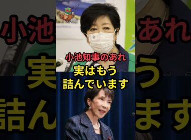 小池知事のあれ、実はもう詰んでいます！！ #小池百合子 #高市早苗 #メガソーラー規制法